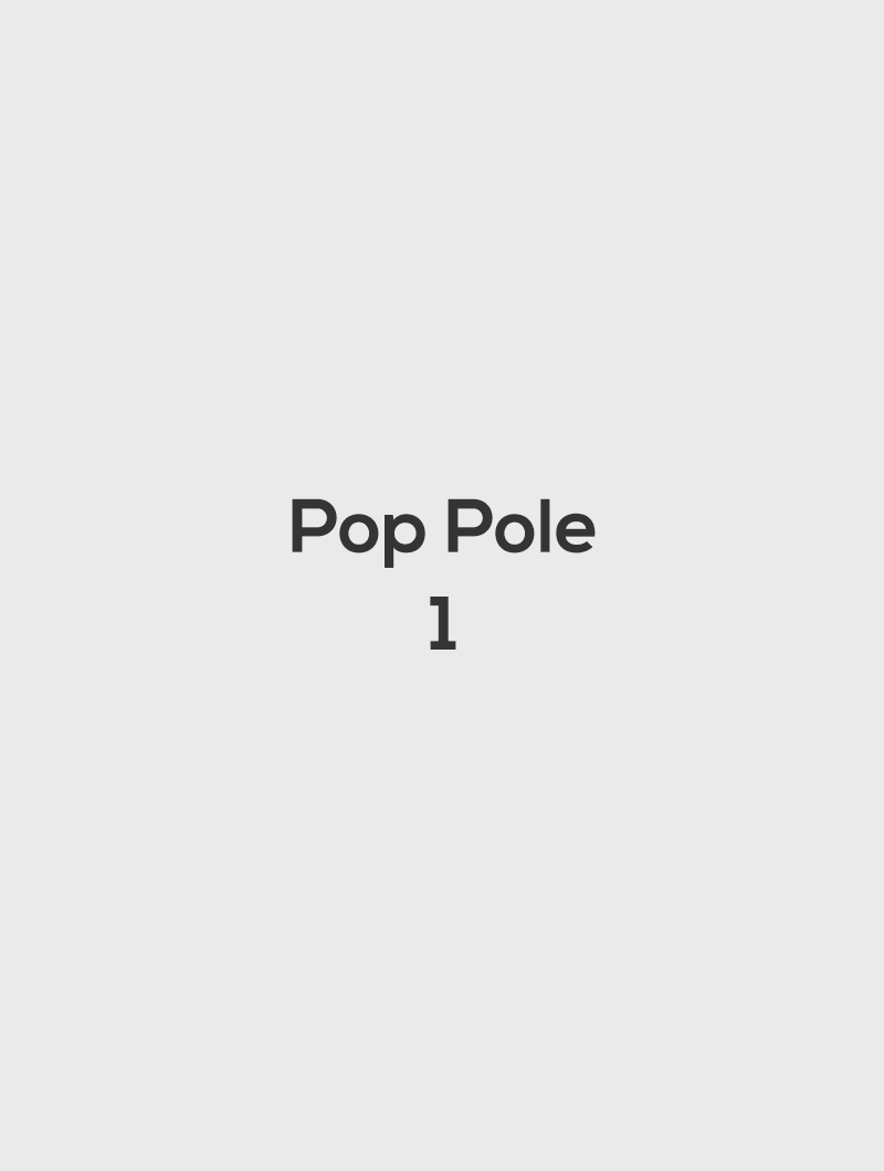 Popup Backstop 21x11 Pole #1