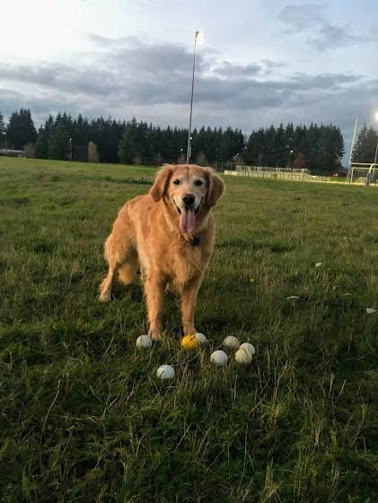 Maggie may have your CrankShooter Lacrosse balls!!