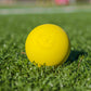 Crankshooter® Lacrosse Game Balls - Qty 60 (5 Dozen) Meets NFHS/SEI/NOCSAE/NCAA Specifications. Fully Certified.