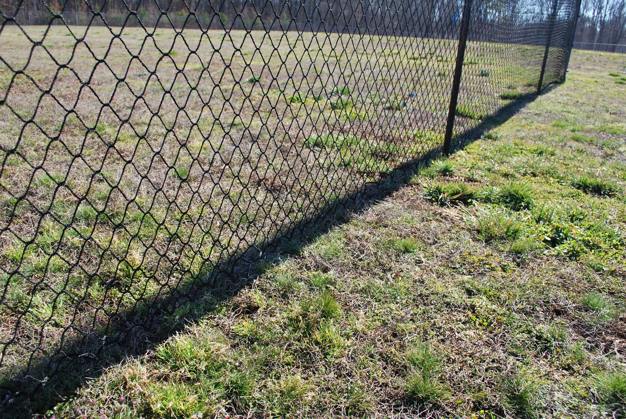 Stationary Backstop System 10' x 30' & 3mm net by Crankshooter® FREE S ...