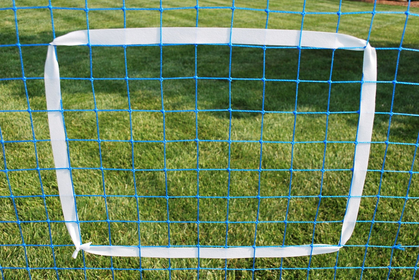 Replacement Net & Bungees for the Pro 72 Rebounder